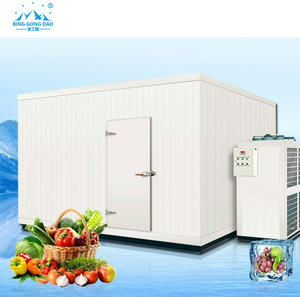 Hete Verkopende Container Walk-In Koude Opslagruimte Emerson Gear 10-100 Ton Capaciteit Voor Vlees Visgroenten Frisheid Fruit - Product Image 2