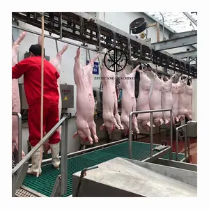Conception moderne professionnelle d'abattoir d'équipement d'abattoir de porc processus de carcasse de porc de la conception 50-100 pour l'équipement d'abattoir