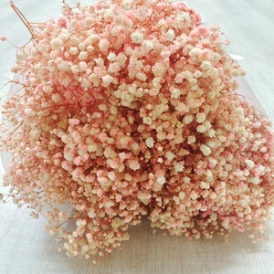 Вечные сохраненные детские цветы, Роскошные Цветные сухоцветы, цветы Гипсофилы - Product Image 4