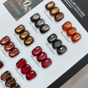 Esmalte de uñas en gel AILANUO Cat Eye de larga duración, 10 colores, juego de esmaltes de gel con logo personalizado, 15 ml, proveedor de esmalte de uñas en gel UV, venta al por mayor. - Product Image 5