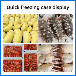 Preço de Fábrica para Freezer Rápido de Baixa Temperatura com Nitrogênio Líquido para Cozinha Comercial - Product Image 3