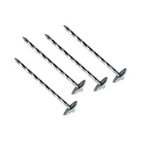 Paku Atap Anti Karat BWG9*2.5" BWG10*3" BWG9*2" dengan Tangkai Terpuntir dan Kepala Payung