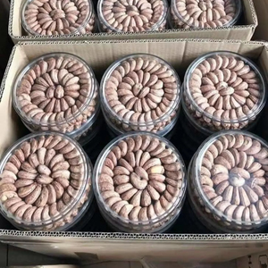Nueces de Anacardo Saladas y Tostadas de Vietnam, Premium, Crujientes y Deliciosas, Venta al Por Mayor, Directo de Fábrica, Exportación - Product Image 1