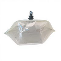 Sac à boisson portable de 5 L avec bec verseur, qualité alimentaire, pour la restauration sur mesure, en plastique