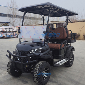 Voiturette de golf électrique professionnelle chinoise EGO à 4 roues en acier, batterie au plomb-acide, prix compétitifs, transport spécial - Product Image 5
