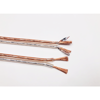 Cable de Audio para Altavoces de Cine en Casa y Radio, de PVC Blindado, Transparente, OFC, de Cobre Completo, de 2 Núcleos, 100 Metros por Rollo, Bajo Ruido