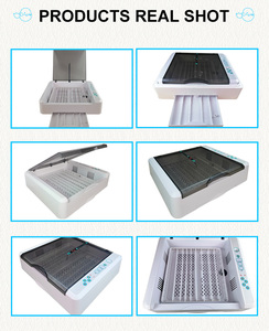 HHD Thương Hiệu Hoàn Toàn Tự Động Màu Mỡ Parrot Gà Vịt Chim Cút Chim Gà Trứng Vườn Ươm Brooder Ấp Máy YZ-36 - Product Image 5