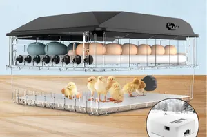 عالية الجودة بيض جاهز للفقس الدجاج بطة حمامة السمان البيض التلقائي آلة التفريخ البيض حاضنة للبيع
