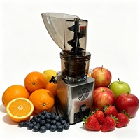 Instelbare snelheid elektrische commerciële sapcentrifuge, duurzame fruit- en groenteverwerkingsmachine voor catering