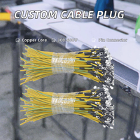 Rangkaian Kabel Kustom Profesional 2.54mm Konektor 2/3/4/5/6 Pin Colokan Betina Otomotif 300-600V Wiring Harness