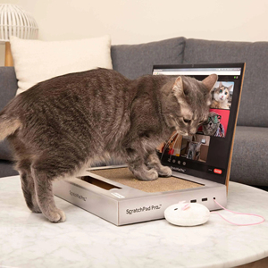 <b>Cat</b> Scratcher Laptop with Fluffy 'Mouse' Interactive Toys Pet <b>Scratching</b> <b>Board</b> - Product Image 6