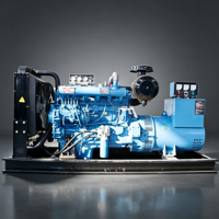 Générateur diesel super silencieux 250 kVA avec contrôleur de partage de charge pour parc de bureaux