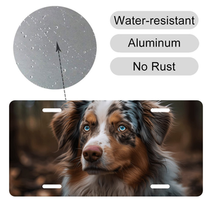 Placa de Matrícula <span class=keywords><strong>Personalizada</strong></span> para Auto o Moto, de Aluminio Plateado con <span class=keywords><strong>Nombre</strong></span> de Marca en Relieve, Decoración de Alto Rendimiento para Estados Unidos - Product Image 3