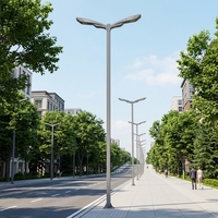 Poteau d'éclairage de rue en fer à bras auto-courbé unique pour la rénovation des autoroutes, lampadaire extérieur conique, étanche IP65, revêtement poudré