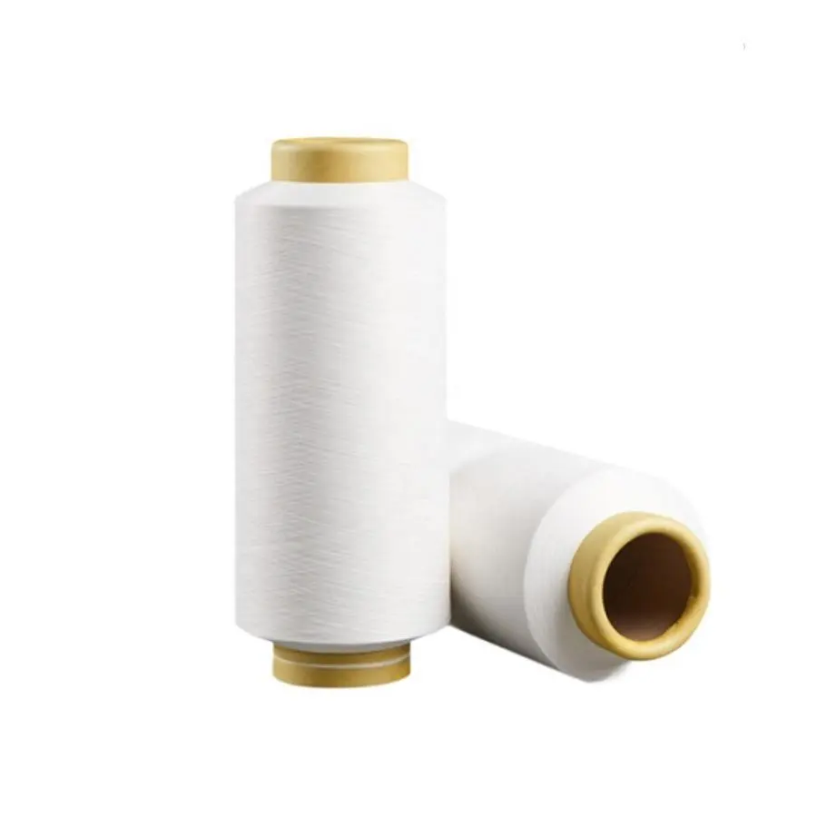 100 fils de polyester DTY 300D/96F 2 HIM SD RW AA Grade