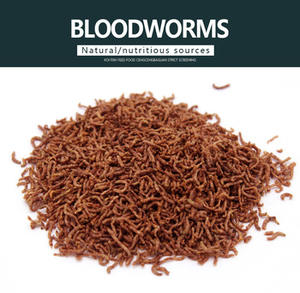 Des vers de sang lyophilisés pour les poissons - Product Image 2