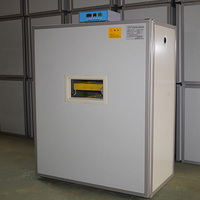 Incubateur automatique domestique pour œufs de poule et de caille, capacité de 120 à 500 œufs, petit incubateur éclosoir AC/DC