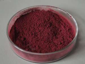 25% kızılcık özü tozu gıda sınıfı 100% suda çözünür Procyanidins <span class=keywords><strong>Bilberry</strong></span> <span class=keywords><strong>Proanthocyanidins</strong></span> - Product Image 3