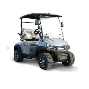 Usine Pas Cher Vieux Voiturettes De Golf Vente Batteries Au Plomb Au Lithium 60V 3.5KW 2 Housses De Siège De Voiturette De Golf Stand up Voiturettes De Golf - Product Image 5