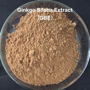 Bubuk <span class=keywords><strong>Ginkgo</strong></span> <span class=keywords><strong>Biloba</strong></span> Organik Liar Berkualitas Tinggi - Suplemen Herbal Peningkat Imunitas Grosir dengan Kemasan Drum yang Dapat Disesuaikan - Product Image 1