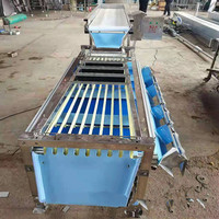 Spoorbaan fruit sorteermachine voor navel sinaasappel, passievrucht, sinaasappel, gouden mandarijn & jujube TW TW-j9 model 220V 1700W