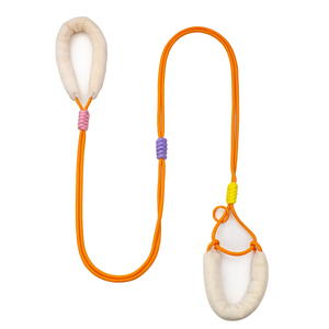 Correa de Nailon de Color Sólido para Perro con Mango Acolchado y Decoración de Piel, Estilo Simple para Perros - Product Image 1