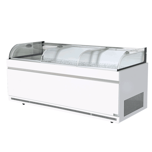 Conteneur de stockage de réfrigérateur-congélateur industriel, congélateur d'<span class=keywords><strong>occasion</strong></span> à vendre - Product Image 5