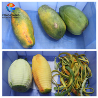 Petit type FXP-66S d'éplucheur de noix de coco de mangue d'ananas papaye