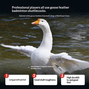 <span class=keywords><strong>Volant</strong></span> de badminton Lingmei F7 en plumes d'oie avec noyau en liège composite - Vol stable, résistant au vent, durable pour l'entraînement en intérieur/extérieur - Product Image 3