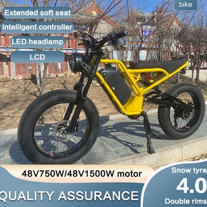 Bicicleta Eléctrica Negra y Amarilla con Neumáticos Gruesos de 20"*4.0 para Nieve y Playa, 48v 750w 1500w con Batería de 13Ah 18Ah, Yj-750/1000w, Bicicleta Eléctrica con Neumáticos Gruesos de 20"*4.0 F - Product Image 4