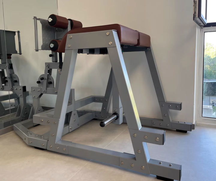 Factory Extension Workout Training Reverse Hyper Extension  Machine for GYM Center