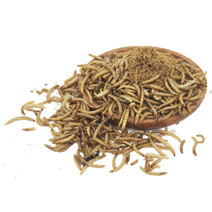 ديدان الخبز المجففة بالجملة، ديدان الوجبة الصفراء المجففة، طعام الحيوانات الأليفة، طعام الطيور، وجبات خفيفة للهامستر، طعام أسماك الزينة والسلاحف - Product Image 2