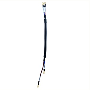 OEM/ODM 2 pines 2 POS PDU a arnés de cables de línea eléctrica DCDC 540V - Product Image 2