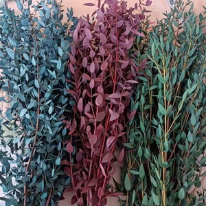 Bán Buôn Bất Khô Bạch Đàn Tốt Lá Cây Bảo Quản Tự Nhiên Hoa Hồng Thấp Chi Phí Giao Hàng Cho Đám Cưới Bên Giáng Sinh - Product Image 3