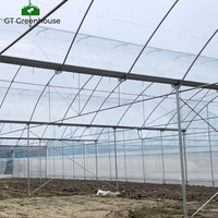 Serre en plastique multi-spans de grande taille pour l'agriculture commerciale, cadre métallique, serre extérieure GT