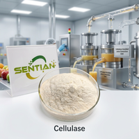 Poudre d'enzyme cellulase de qualité alimentaire CAS 9012-54-8 haute activité pour le textile, la boulangerie et l'extraction de jus