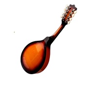 Mandolin Instrument Mandolin Treble Eight-stringed Instrument Western Instrument Mandolin