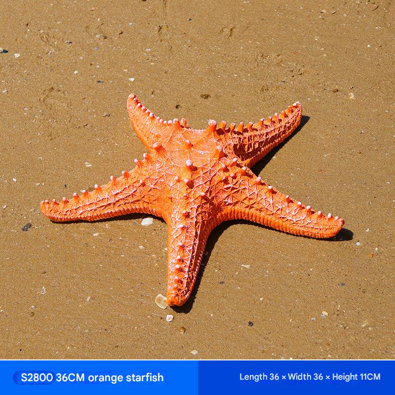 ปลาดาวขนาดเล็กสีส้ม06_36cm มีสไตล์