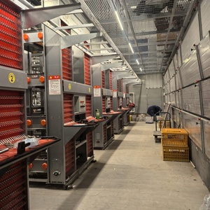 Équipement de ferme avicole de ponte de poulet automatique de type H nouvel état Cages pour animaux de poulet oeuf bon pour les <span class=keywords><strong>oiseaux</strong></span> de <span class=keywords><strong>cage</strong></span> de poussin d'un jour - Product Image 1