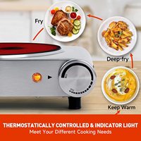 Table de cuisson électrique portable 12V à double infrarouge céramique, surface en acier inoxydable, 2 brûleurs, cuisinière, four, plaque chauffante, usage domestique