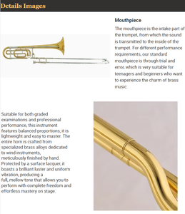 <span class=keywords><strong>Trombone</strong></span> professionnel en laiton de haute qualité, clé Bb, fabrication chinoise, vente en gros OEM, instruments de musique - Product Image 3
