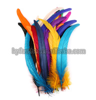 40-45cm Cock Coque Tail Poulet Coq Plume pour Craft DIY Costume Hat Accessory Stage Party Carnival Holiday Decor