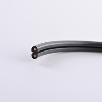 Fil d'éclairage paysager basse tension ULECC 18 AWG 2C, CCA, étanche, pour enterrage direct extérieur