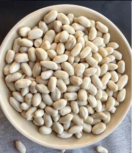 Grosir kulit kacang mentah bentuk panjang 24/28 28/32 biji kosong