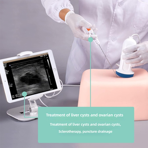 Fantomma per biopsia ecografica addominale, blocco di tessuto bersaglio cistoso multi-misura per l'allenamento al drenaggio e alla biopsia con ago - Product Image 5