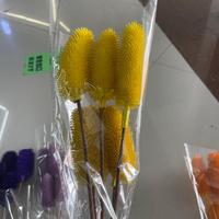 Großhandel für Natürlich Konservierte Dispesacus Sativus Blumen, Umweltfreundliche Echte Cardo Tallo Blumen für Hochzeiten, Abschlussfeiern und Heimdekoration