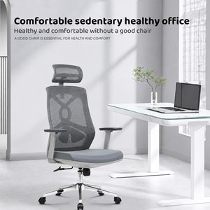 Manufacturer High Back <b>Adjustable</b> Lumbar Support Armchair Task Staff Executive <b>Desk</b> Chair Ergonomic Blue Mesh Chair for <b>Office</b> - Product Image 6