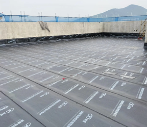 <span class=keywords><strong>Membrana</strong></span> Impermeable de Betún SBS TPO <span class=keywords><strong>para</strong></span> Instalación con Lámpara, Alta Adhesión, Resistente a los Rayos UV, Garantía de 5 Años, de Foshan/Guangzhou - Product Image 3
