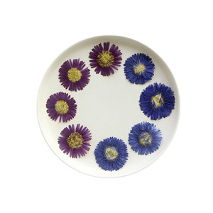 Real prensado Symphyotrichum Novi-belgii flor hoja seca <span class=keywords><strong>Aster</strong></span> Novi-belgii pegatina Nueva York <span class=keywords><strong>Aster</strong></span> epoxi graduación del Día <span class=keywords><strong>de</strong></span> la madre - Product Image 1
