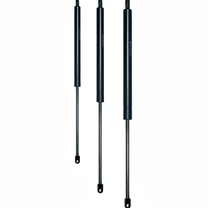 C 250 Carrera F 1000 N CILINDRO OLEOPNEUMÁTICO (VO25/100) - Product Image 1